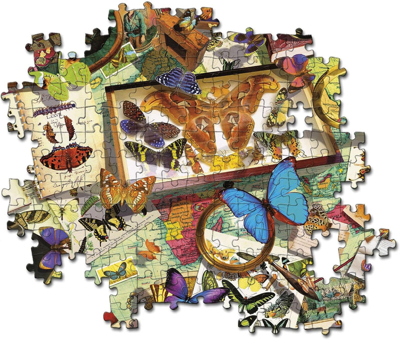 PZ500: THE BUTTERFLY COLLECTOR
