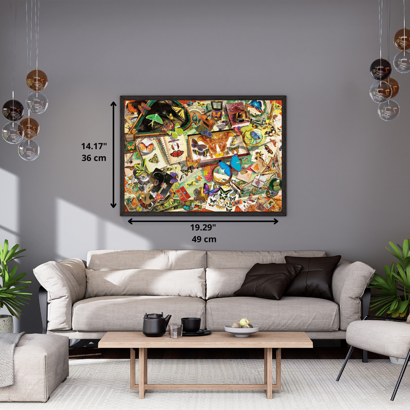 PZ500: THE BUTTERFLY COLLECTOR