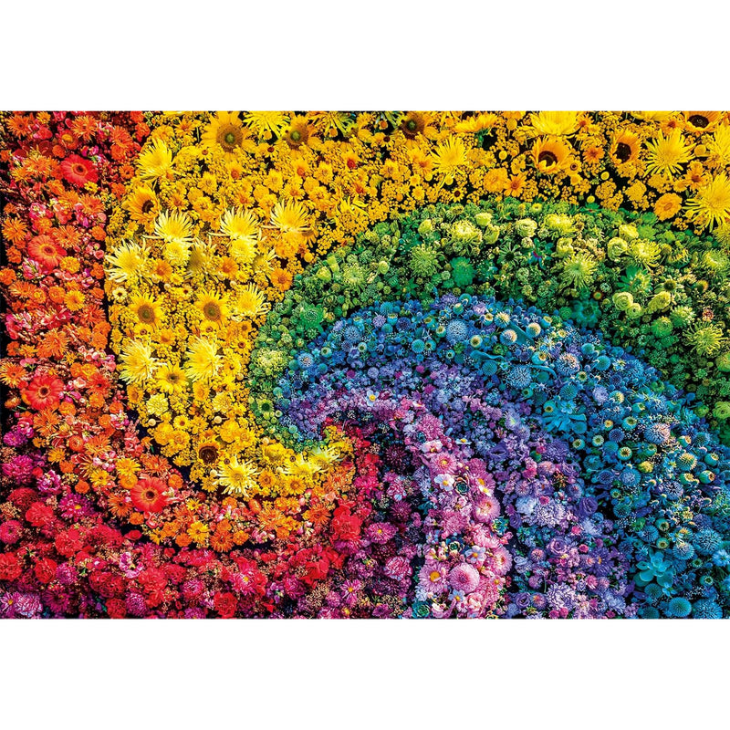 PZ1000: COLORBOOM: WHIRL