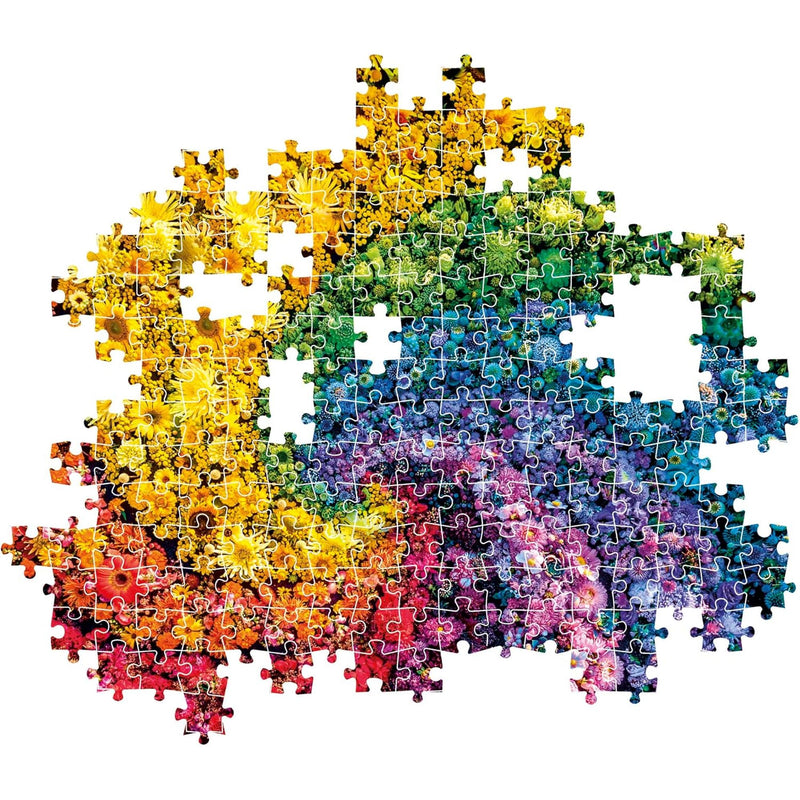 PZ1000: COLORBOOM: WHIRL