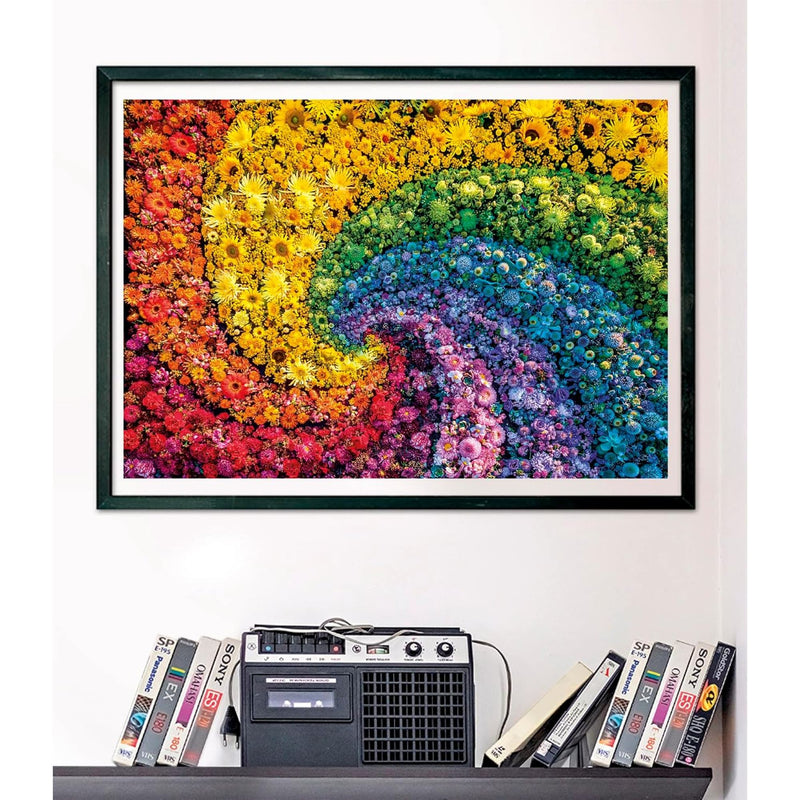 PZ1000: COLORBOOM: WHIRL