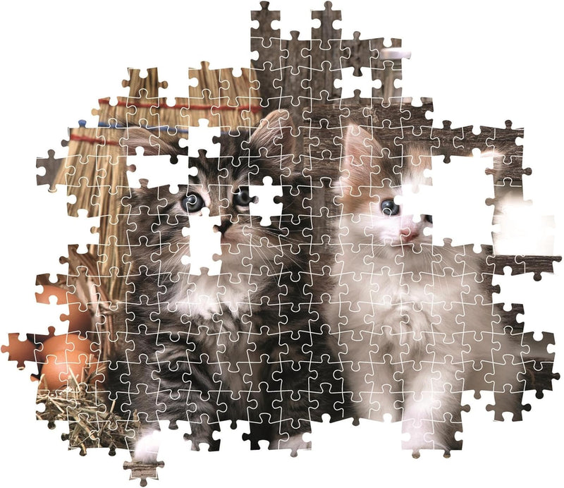 PZ1000: LOVELY KITTENS