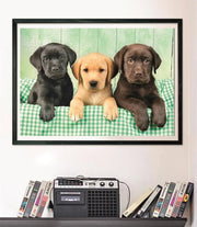 PZ1000:THREE LABS