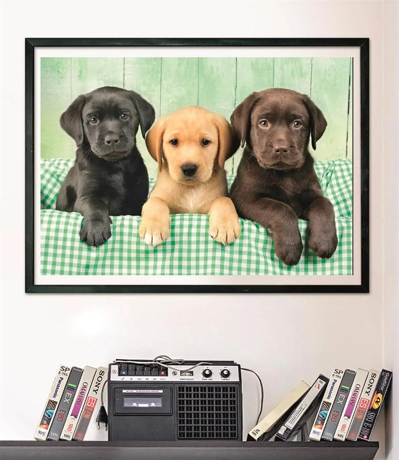PZ1000:THREE LABS