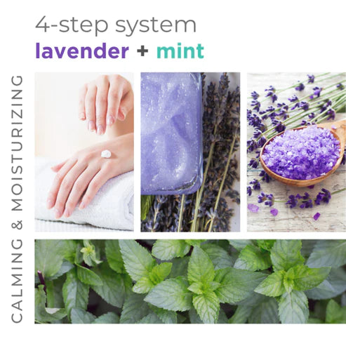 BCL Spa - Massage Cream Lavender + Mint | 16 oz
