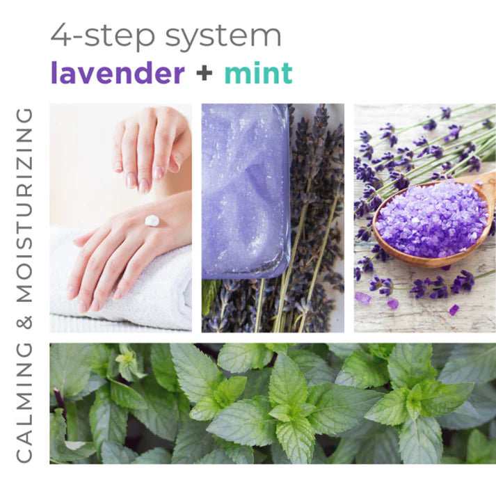 BCL Spa - Sugar Scrub Lavender + Mint