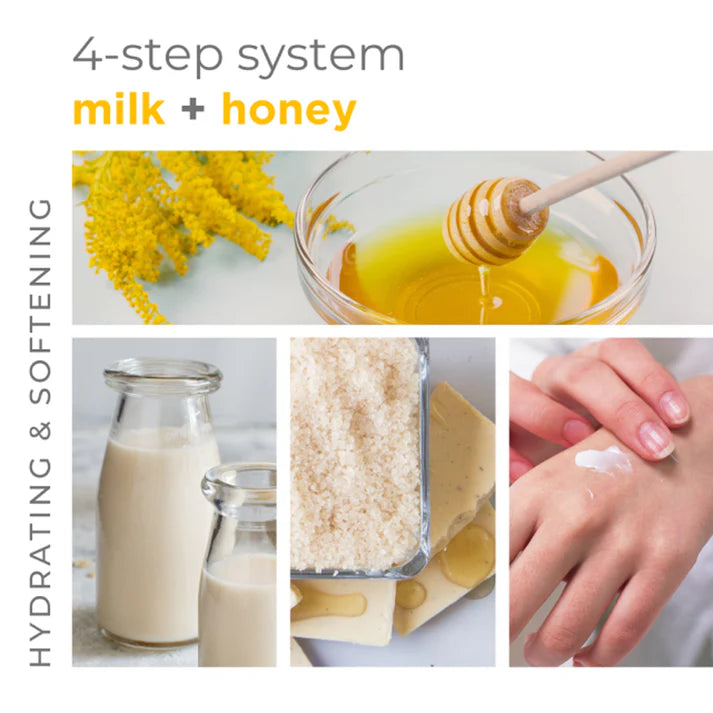 BCL Spa - Sugar Scrub Milk Honey + White Choco | 16 oz