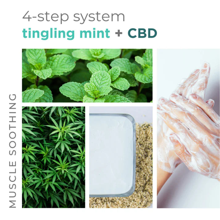 BCL Spa - 4-STEP System Tingling Mint + CBD 0. | 5 x 4 in oz