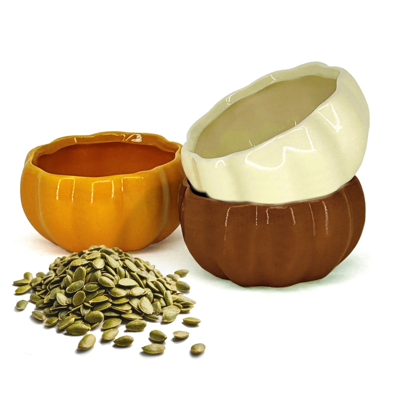 BIA - PUMPKIN Dip Bowls