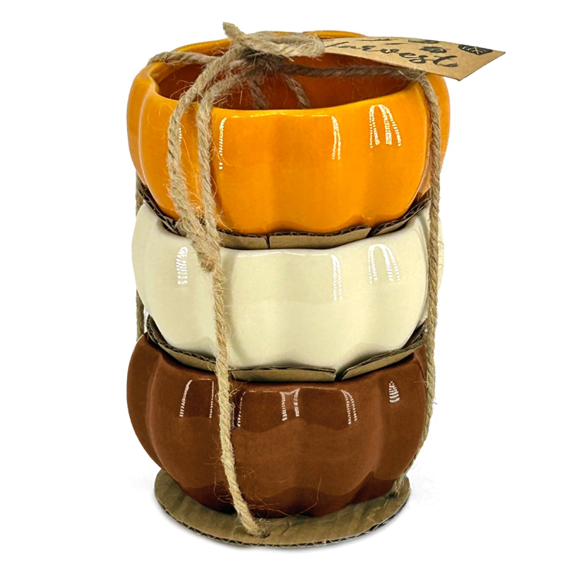 BIA - PUMPKIN Dip Bowls