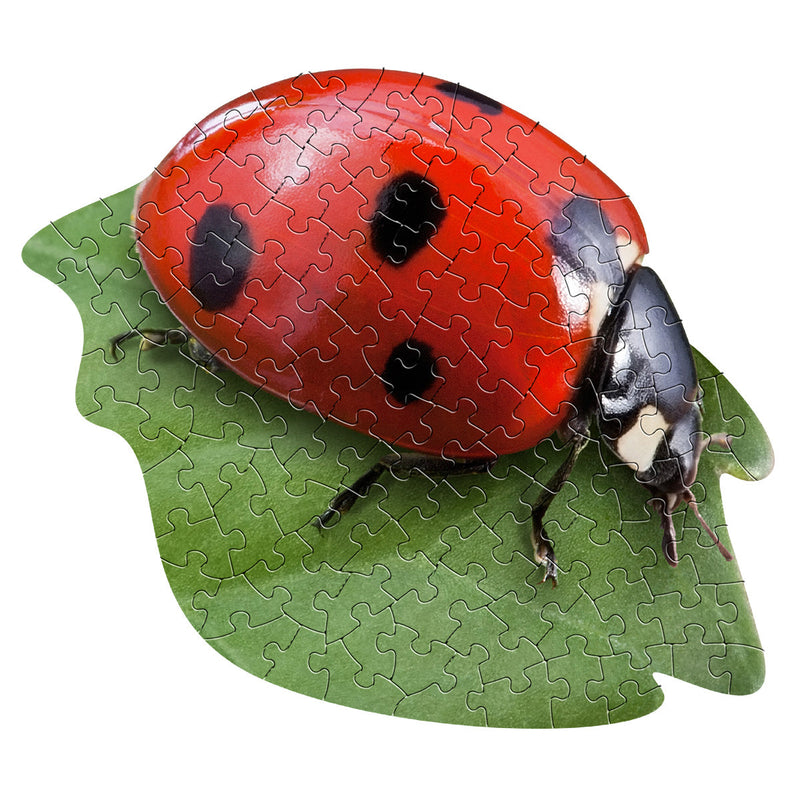 Madd Capp Puzzles – I Am Lil' Ladybug Jigsaw Puzzle | 100 Pieces – completed puzzle