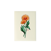 ACADEMIC AGENDA 2026-2027- MEDIUM 1W/2P- CALENDULA