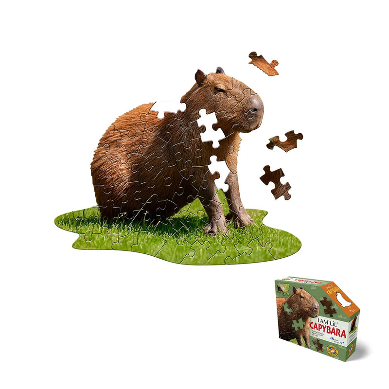 Madd Capp Puzzles - I AM Lil' Capybara (48 pc)
