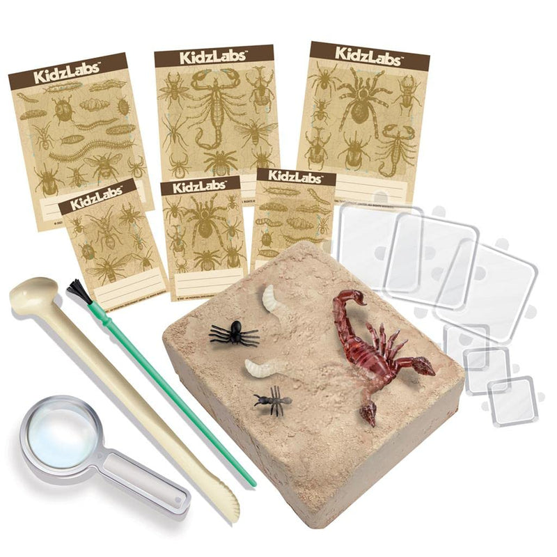 4M - Creepy Crawly Digging Kit - Limolin 
