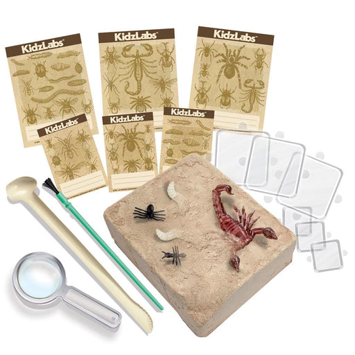4M - Creepy Crawly Digging Kit - Limolin 