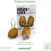 4M - Green Science - Potato Clock - Limolin 