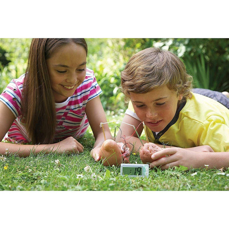 4M - Green Science - Potato Clock - Limolin 