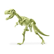 4M - Kidzlabs Glowing T-Rex Skeleton - Limolin 