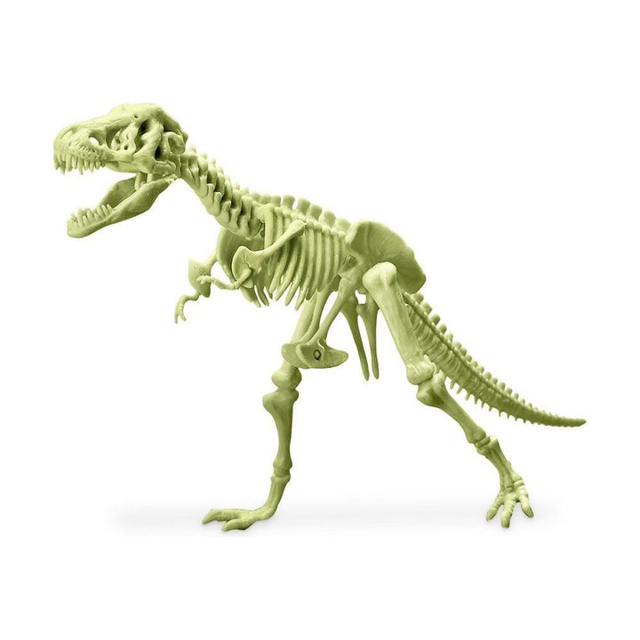4M - Kidzlabs Glowing T-Rex Skeleton - Limolin 