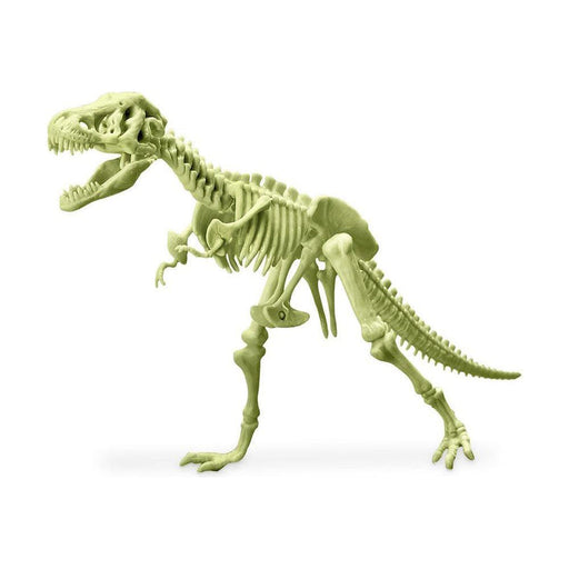 4M - Kidzlabs Glowing T-Rex Skeleton - Limolin 