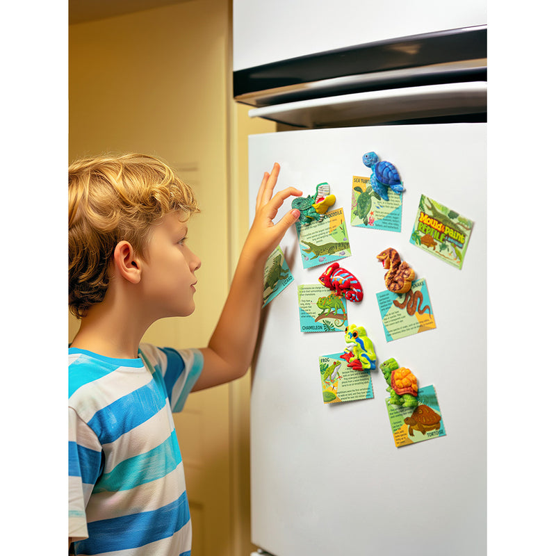 4M - Mould & Paint Reptile & Amphibian - Limolin 