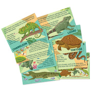 4M - Mould & Paint Reptile & Amphibian - Limolin 