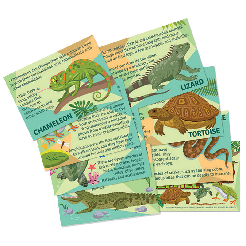 4M - Mould & Paint Reptile & Amphibian - Limolin 