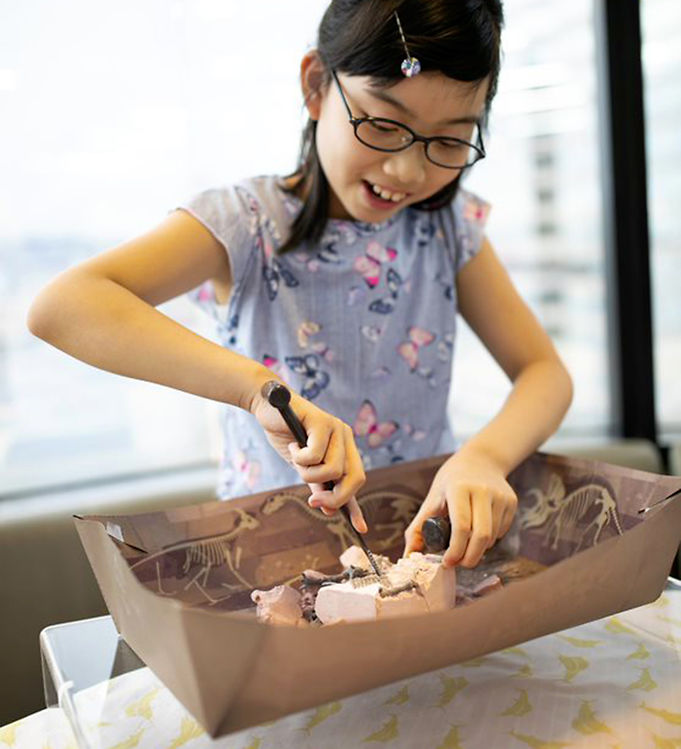 4M - Steam Kids Deluxe Dinosaur World - Limolin 