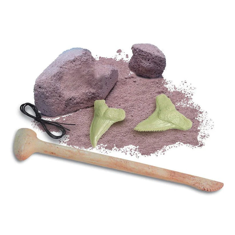 4M - 2025 GLOW SHARK TOOTH FOSSIL Games & Toys