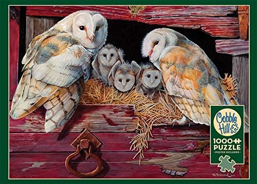 Cobble Hill - Barn and Owls