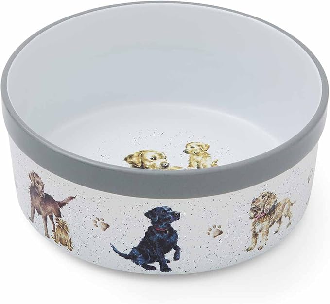 Royal Worcester - Pet Bowl 8.5"