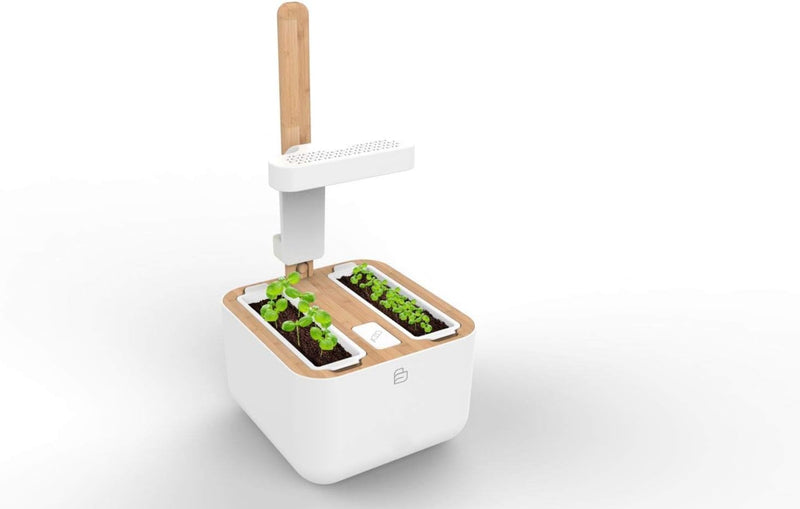 VERITABLE - BOTANEO EYLO Indoor Garden | White (Compatible with VERITABLE Lingot)