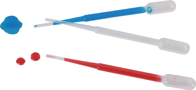 Beleduc - PAINT PIPETTE (20PCS) - Limolin 