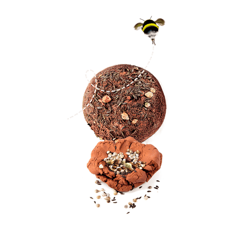 BOMBES DE GRAINES