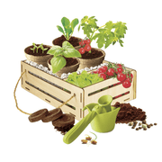 JARDIN ET POTAGER