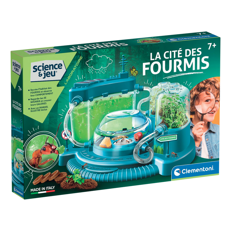 SCIENCE & JEU: LA CITÉ DES FOURMIS