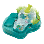 SCIENCE & JEU: OBSERVATOIRE D'INSECTES