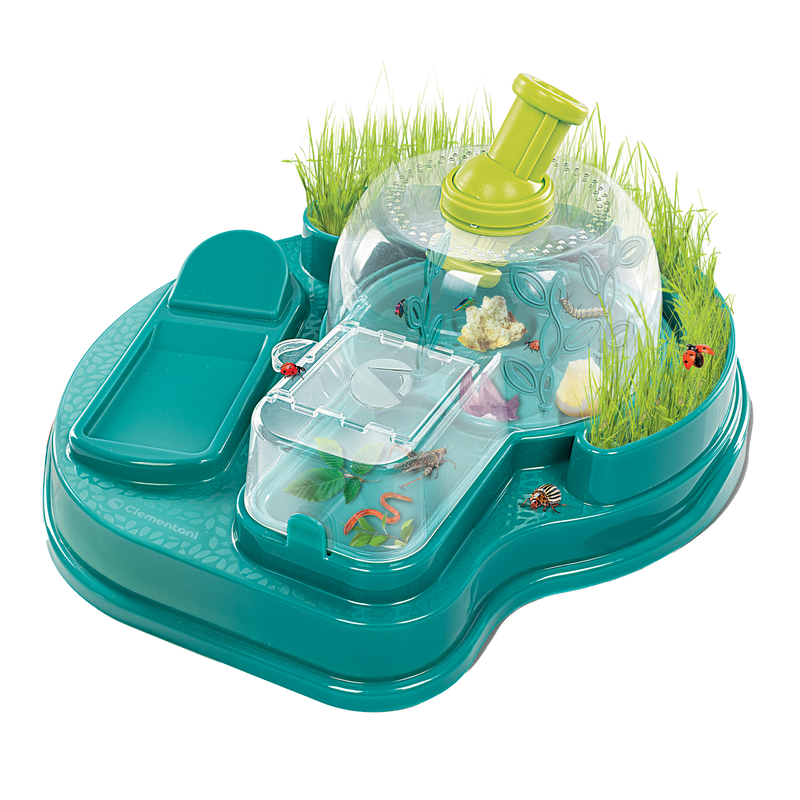 SCIENCE & JEU: OBSERVATOIRE D'INSECTES