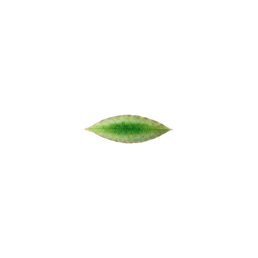Riviera - Tomate Laurel Leaf | 7" / 18 cm