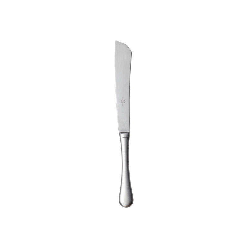 Antigo - Brushed Silver Fish Carving Knife