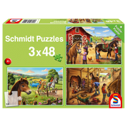 PZ 3X48: MY FAVORITE HORSES