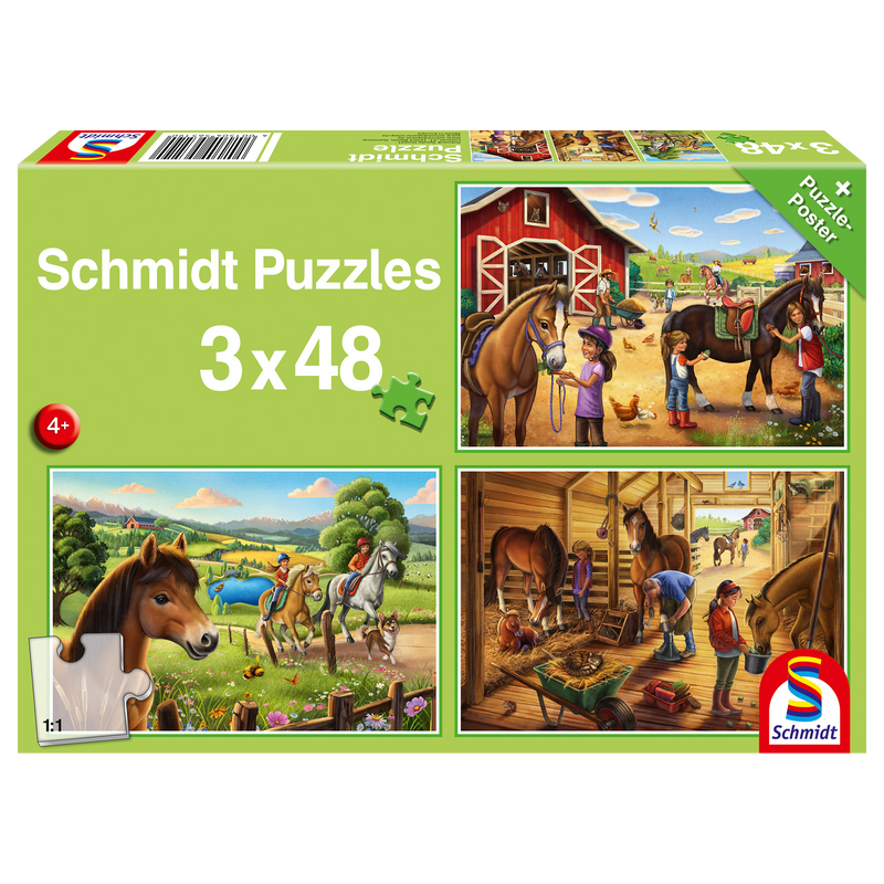 PZ 3X48: MY FAVORITE HORSES