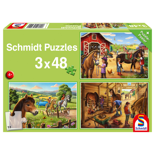 PZ 3X48: MY FAVORITE HORSES