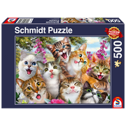 PZ500: CAT SELFIE