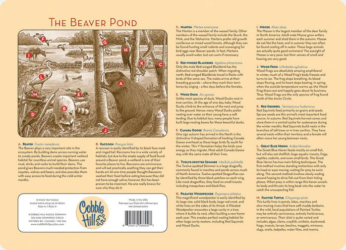 Cobble Hill - 35 Piece Tray Puzzle - The Beaver Pond