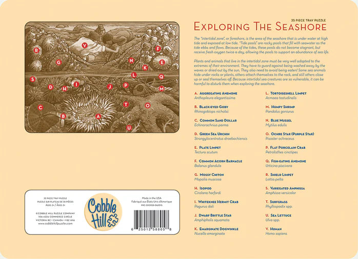 Cobble Hill - 35 Piece Tray Puzzle - Exploring the Seashore