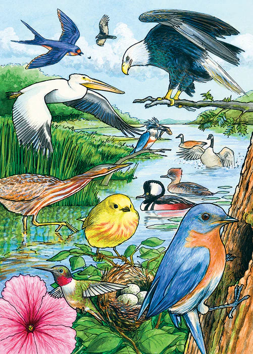 Cobble Hill - 35 Piece Tray Puzzle - North American Birds