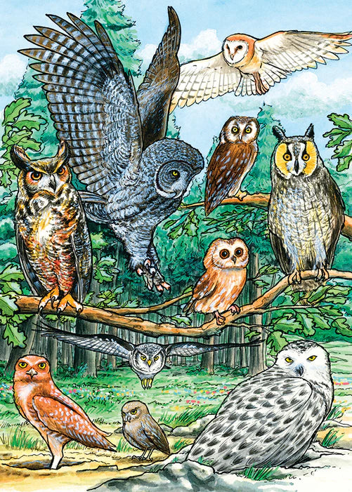 Cobble Hill - 35 Piece Tray Puzzle - North American Owls