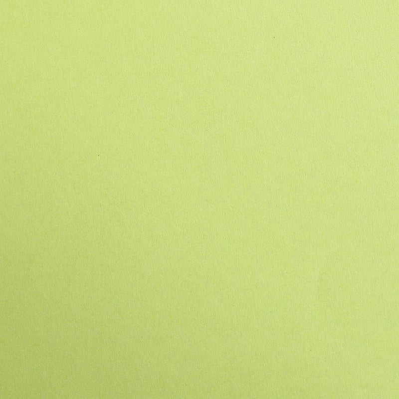 Clairefontaine - Maya Cardboard 270G Moss Green 25 Sheets (19.7 x 27.6 In)