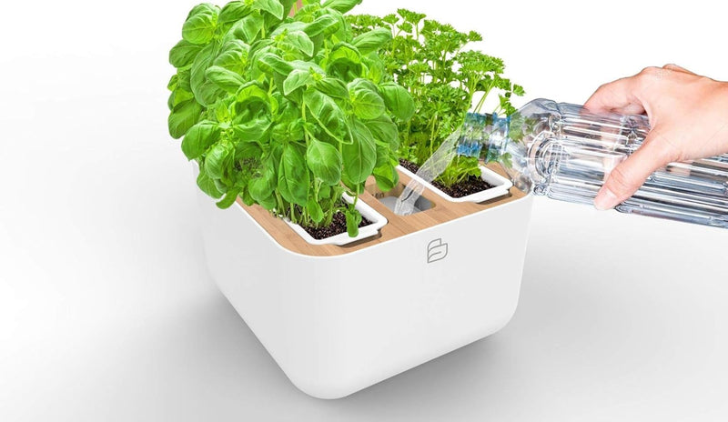 VERITABLE - BOTANEO EYLO Indoor Garden | White (Compatible with VERITABLE Lingot)